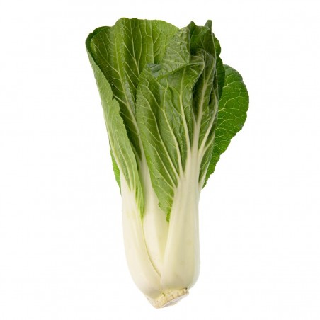 Pak choi (8)