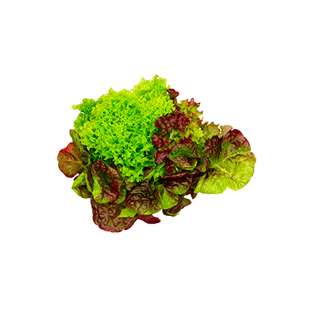 Salade tricolore emballee (8)