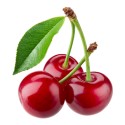 Cerise  (5)