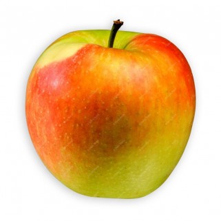 Pomme delbare (7)