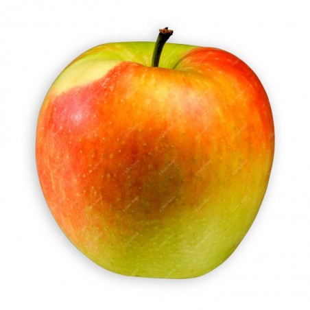 Pomme delbare (7)