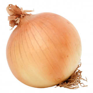 Oignon 5kg