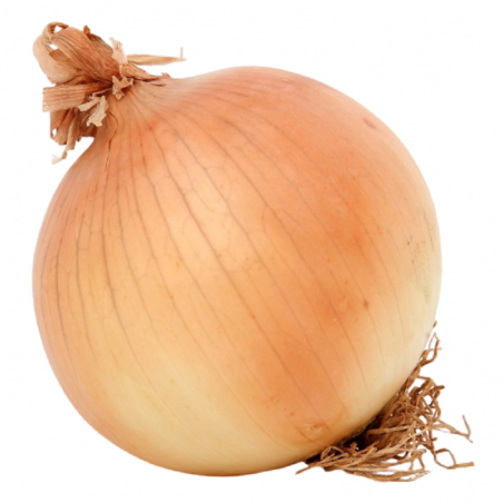 Oignon 5kg