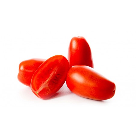 Tomate San Marzano (6)