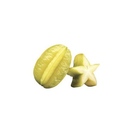 Caramboles (24)