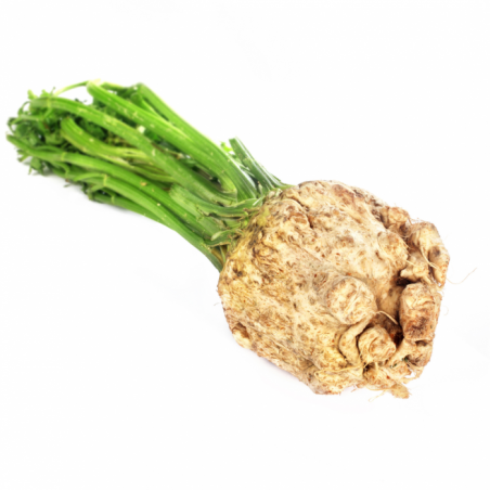 Celeri rave bio (10 kgs)