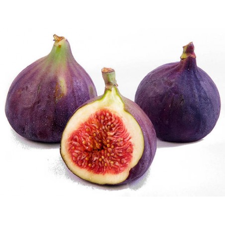 Figues fraiche (36)
