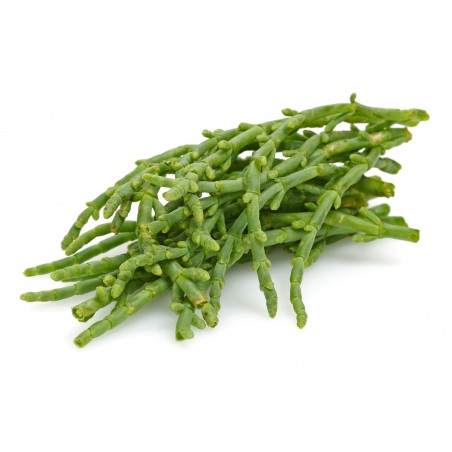 Salicorne (passe pierre) 200gr