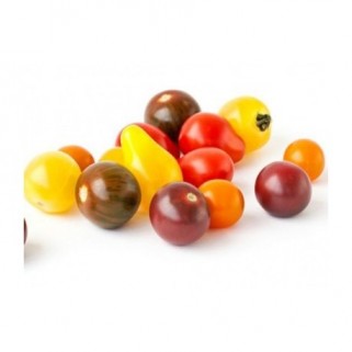 Tomate cerise mix (4)