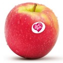 Pomme pink lady (6.5)