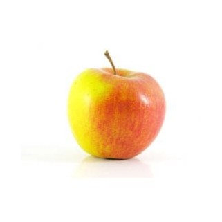 Pomme Jonagold Local Wallon 80/85 (7)
