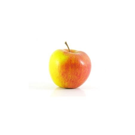 Pomme Jonagold Local Wallon 80/85 (7)