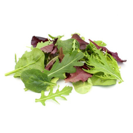 Mesclum lavé 500g (V)