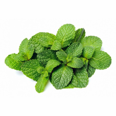 Menthe 1kg