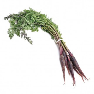 Mini carotte violette 400gr