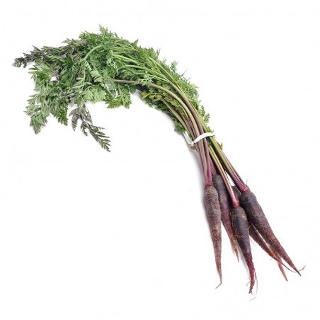 Mini carotte violette 400gr