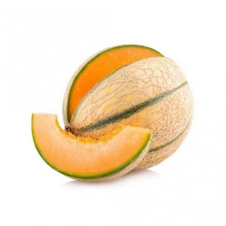 Melon charentais (6)