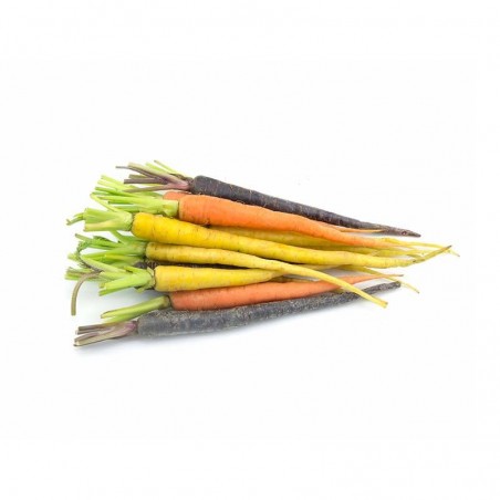 Mini carotte tricolore 200 gr