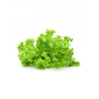 lollo verte coupée 500g (A)