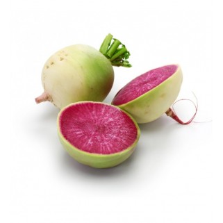 Radis Red Meat (5)