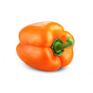 Poivron orange (5)