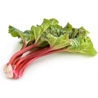 Rhubarbe (10)
