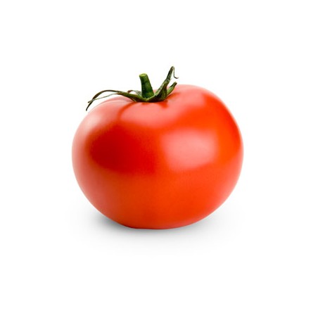 Tomate A BE (6)