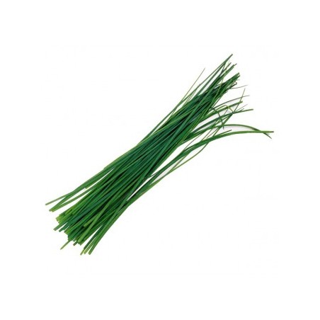 Ciboulette emincee ravier 100gr (A)