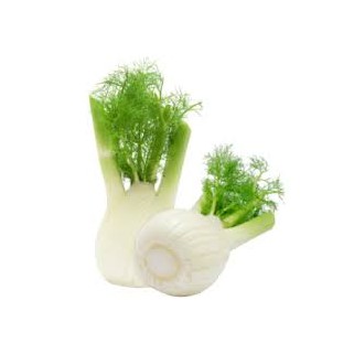 Fenouil (10)