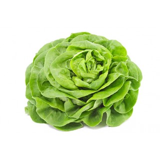 Salade laitue émincée 250gr (A)