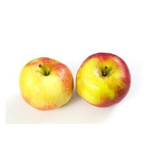 Pomme Santana bio (11)