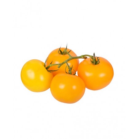 Tomate jaune ananas (4.5)