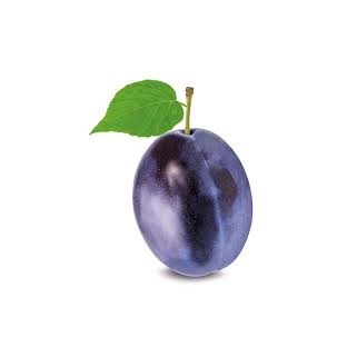 Prune President (10)