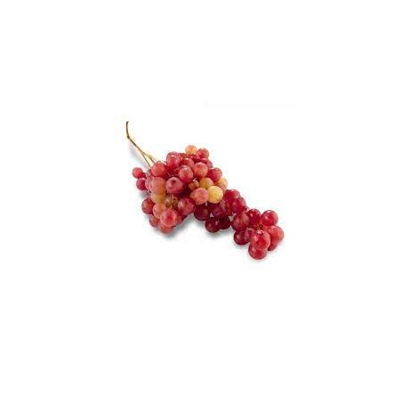 Raisin rouge ss pépins (6)