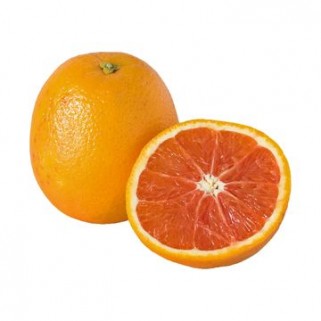 Orange Cara-cara (10)