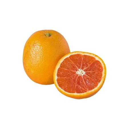 Orange Cara-cara (10)