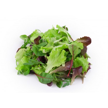 Mesclum 125gr fino fresco (8)