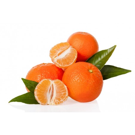 Clementine cibel (10kgs)