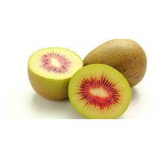 Kiwi  rouge (20)