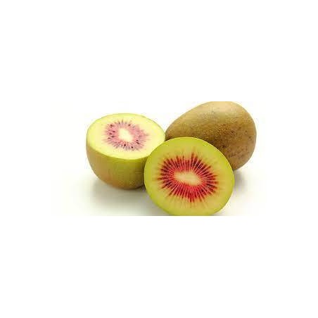 Kiwi  rouge (20)