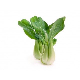 Pak choi (10)