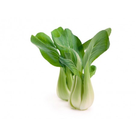 Pak choi (10)