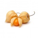 Physalis 100gr (12)