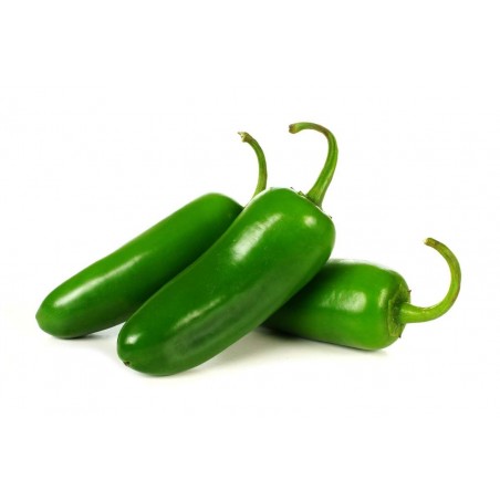 Piment jalapeno vert (1)