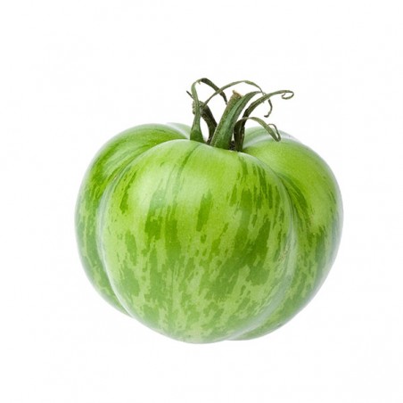 Tomate green Zebra (4.5)