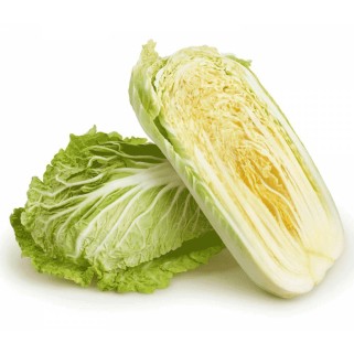 Chou chinois (6)