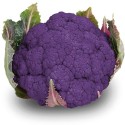 Chou fleur mauve (6)