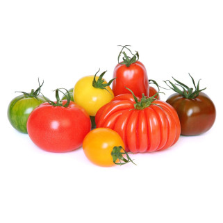 Tomate mixte Toma'Chef (3)