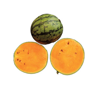 Pasteque Orange (5)