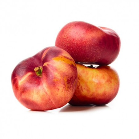 Nectarine Plate (4)